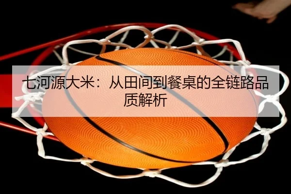 七河源大米：从田间到餐桌的全链路品质解析