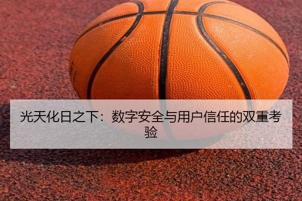 光天化日之下：数字安全与用户信任的双重考验
