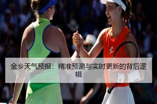 金乡天气预报：精准预测与实时更新的背后逻辑