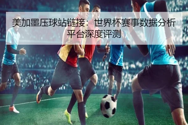 美加墨压球站链接：世界杯赛事数据分析平台深度评测