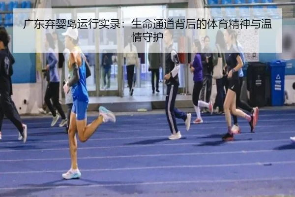 广东弃婴岛运行实录：生命通道背后的体育精神与温情守护